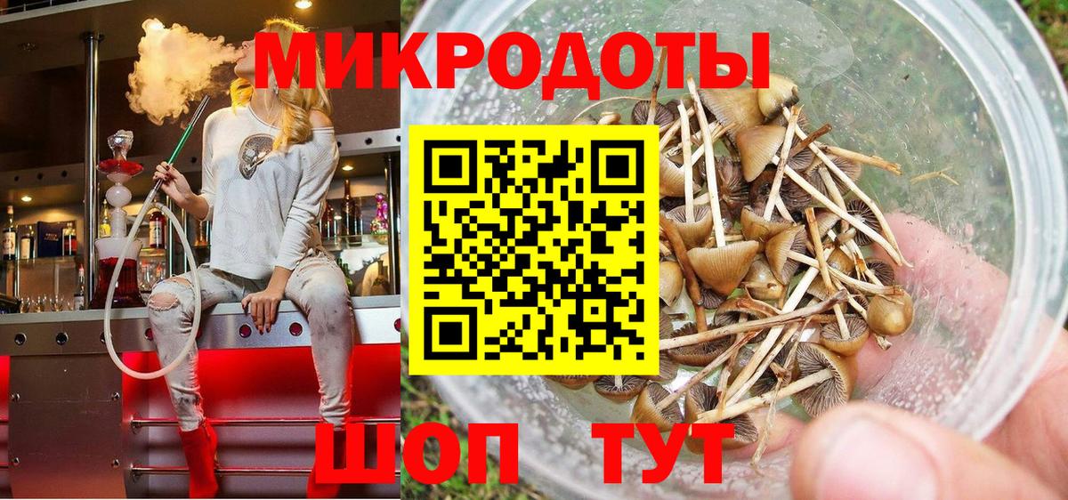 Псилоцибиновые грибы GOLDEN TEACHER Реж