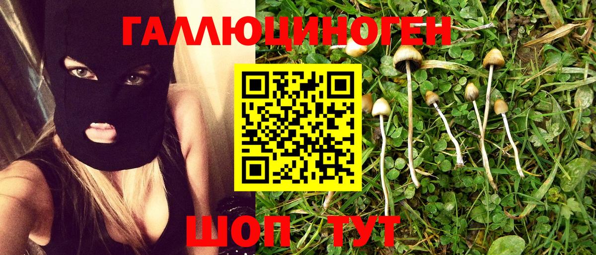 Реж  Галлюциногенные грибы ЛСД  Галлюциногенные грибы GOLDEN TEACHER  Вход с VPN 